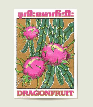 Dragonfruit A3-01 Myanmar Poster showing dragonfruit yangon myanmar in a modern style