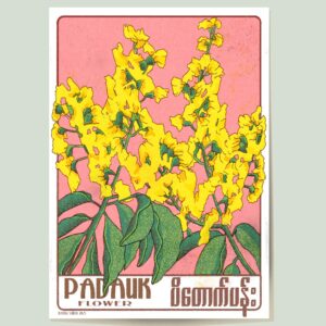 Poster showing padauk flowers yangon myanmar in a modern style