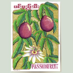 Poster showing passionfruit yangon myanmar in a modern style